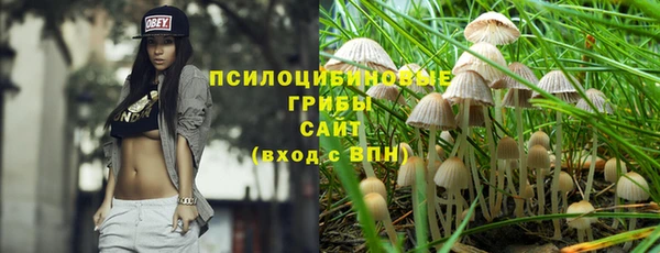 гашиш Болотное