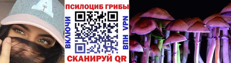Псилоцибиновые грибы GOLDEN TEACHER  Кандалакша 