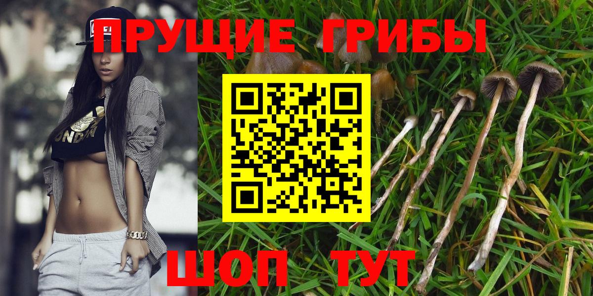 Альфа ПВП Кандалакша